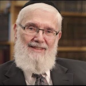 Meet your Posher, Chayim